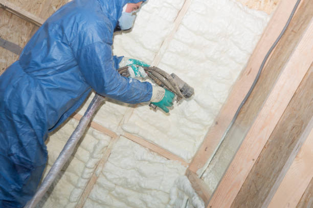 Best Radiant Barrier Insulation  in Big Bear City, CA